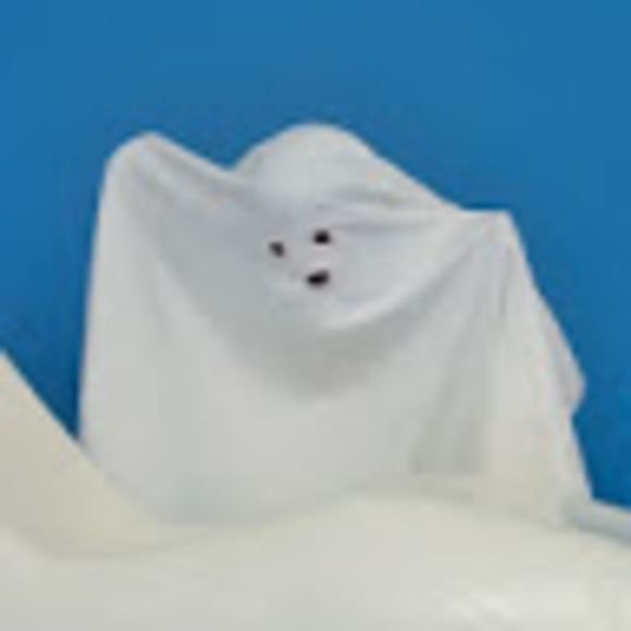 Meet your Posher, Chandler - Picture 1 of 1